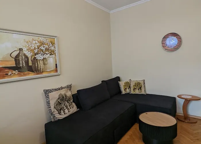 Vintage Apartment In Center